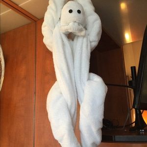 Meet your Posher, Carly